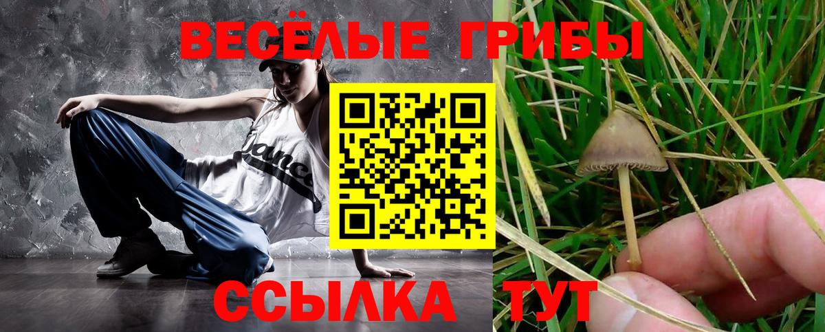 хочу   Галлюциногенные грибы GOLDEN TEACHER  Люберцы  Вход с VPN  Галлюциногенные грибы GOLDEN TEACHER 